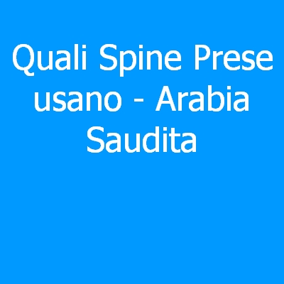Arabia Saudita – Quali spine (prese) eletriche si usano?