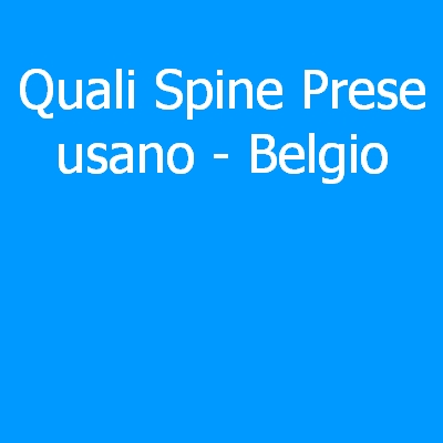 Belgio – Quali spine (prese) eletriche si usano?