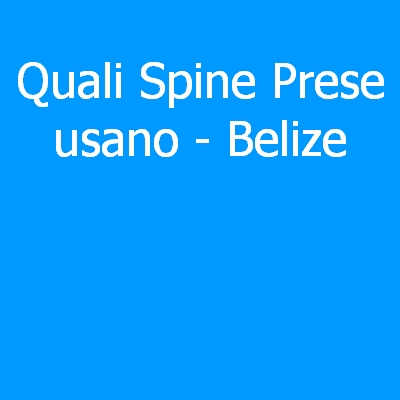 Belize – Quali spine (prese) eletriche si usano?