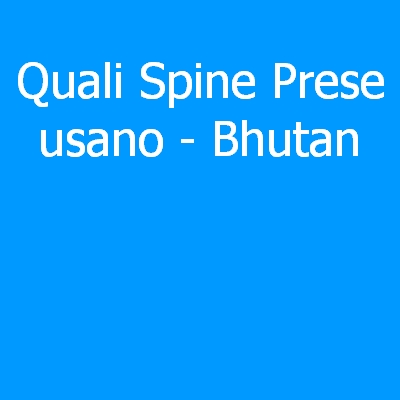 Bhutan – Quali spine (prese) eletriche si usano?