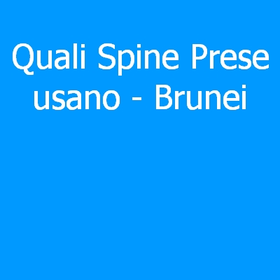 Brunei – Quali spine (prese) eletriche si usano?