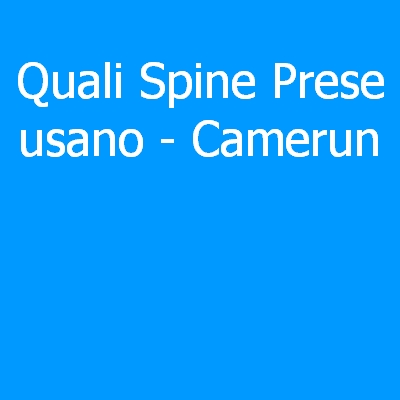 Camerun – Quali spine (prese) eletriche si usano?