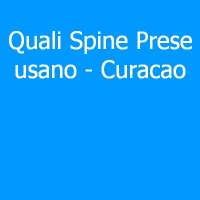 Curacao – Quali spine (prese) eletriche si usano?