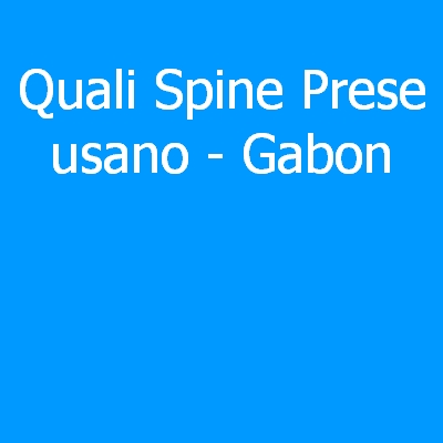 Gabon – Quali spine (prese) eletriche si usano?