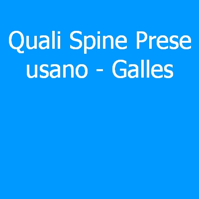 Galles – Quali spine (prese) eletriche si usano?