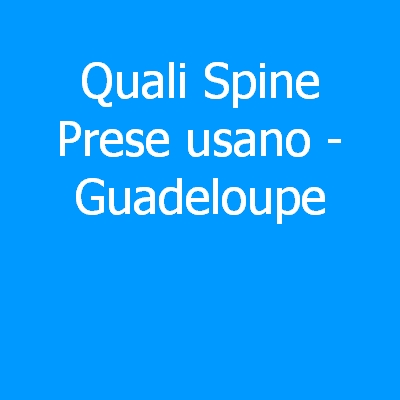 Guadeloupe – Quali spine (prese) eletriche si usano?