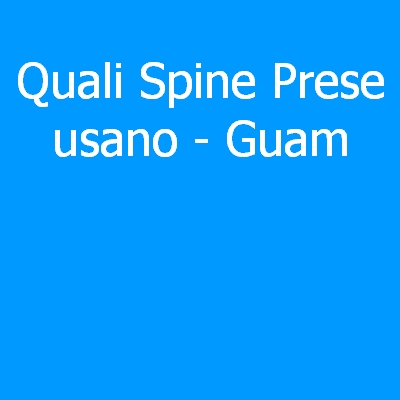 Guam – Quali spine (prese) eletriche si usano?