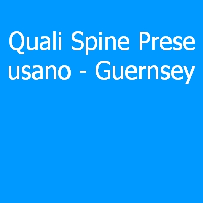 Guernsey – Quali spine (prese) eletriche si usano?
