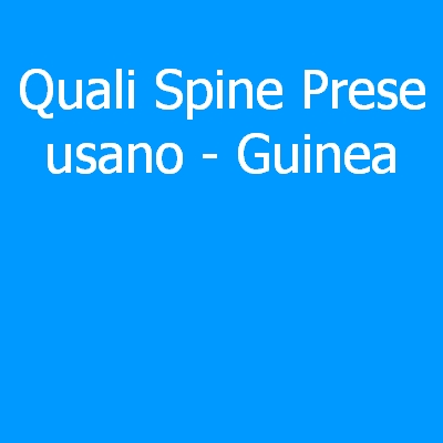 Guinea – Quali spine (prese) eletriche si usano?