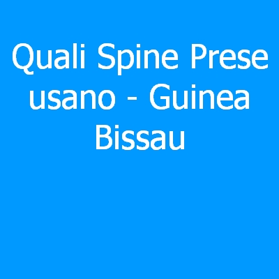 Guinea Bissau – Quali spine (prese) eletriche si usano?