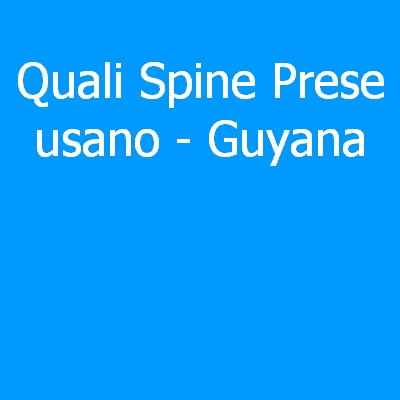 Guyana – Quali spine (prese) eletriche si usano?