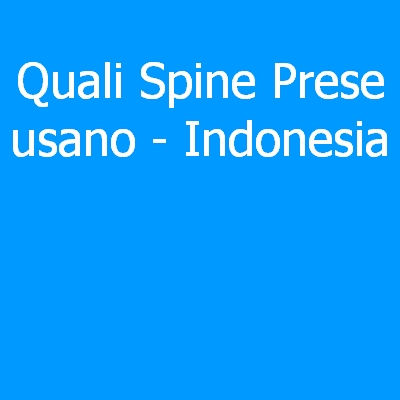 Indonesia – Quali spine (prese) eletriche si usano?