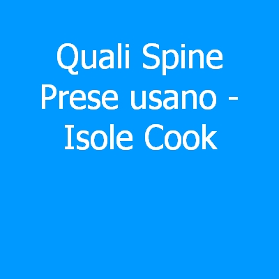 Isole Cook – Quali spine (prese) eletriche si usano?