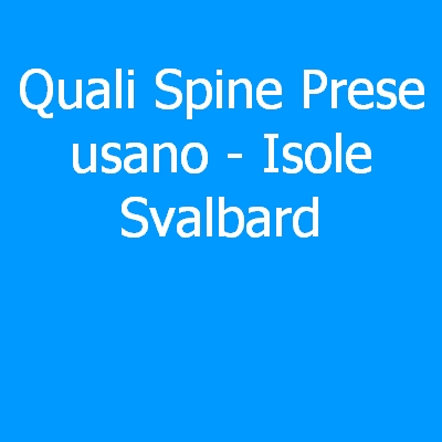 Isole Svalbard – Quali spine (prese) eletriche si usano?
