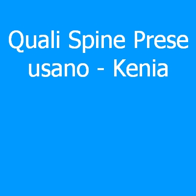 Kenia – Quali spine (prese) eletriche si usano?