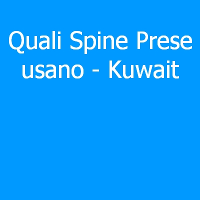 Kuwait – Quali spine (prese) eletriche si usano?