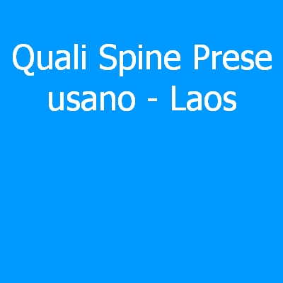 Laos – Quali spine (prese) eletriche si usano?