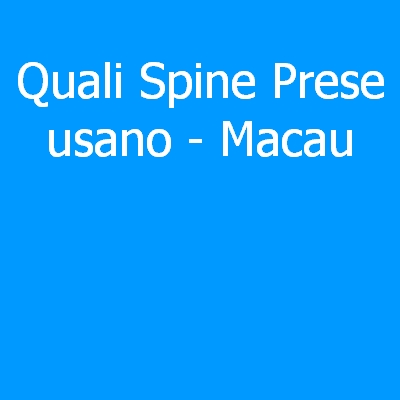 Macau – Quali spine (prese) eletriche si usano?