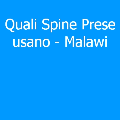 Malawi – Quali spine (prese) eletriche si usano?