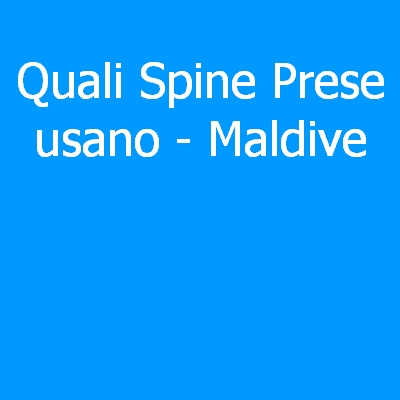Maldive – Quali spine (prese) eletriche si usano?
