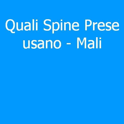 Mali – Quali spine (prese) eletriche si usano?