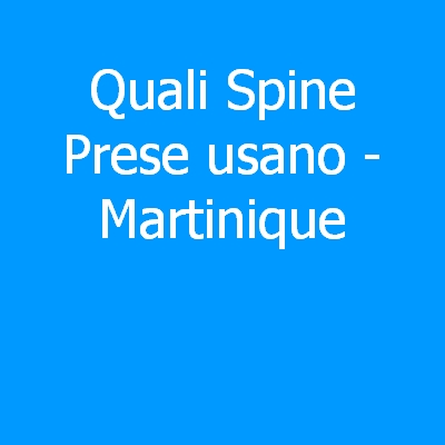 Martinique – Quali spine (prese) eletriche si usano?