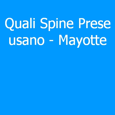 Mayotte – Quali spine (prese) eletriche si usano?