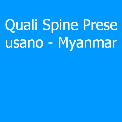 Myanmar – Quali spine (prese) eletriche si usano?