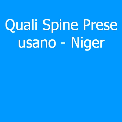 Niger – Quali spine (prese) eletriche si usano?