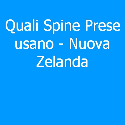 Netherlands (Olanda) – Quali spine (prese) eletriche si usano?
