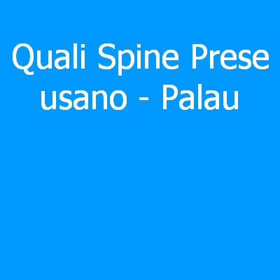 Palau – Quali spine (prese) eletriche si usano?