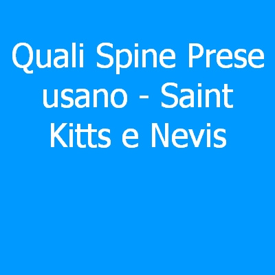 Saint-Barthélemy – Quali spine (prese) eletriche si usano?