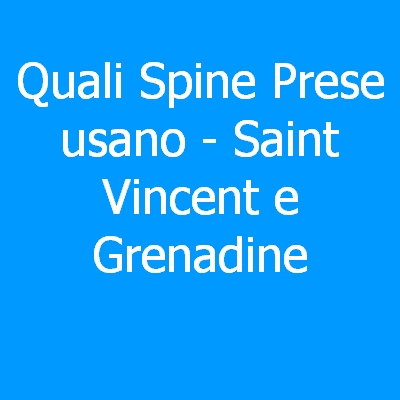 Saint-Pierre e Miquelon – Quali spine (prese) eletriche si usano?