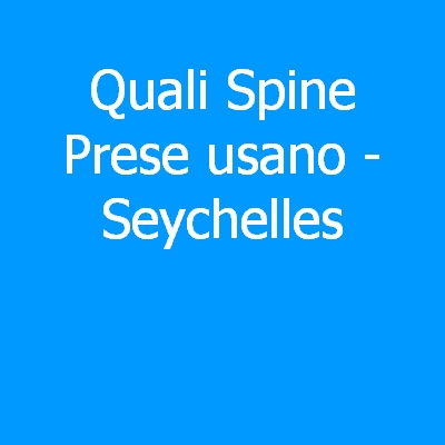 Seychelles – Quali spine (prese) eletriche si usano?