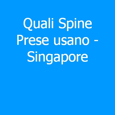 Singapore – Quali spine (prese) eletriche si usano?