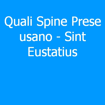Sint Eustatius – Quali spine (prese) eletriche si usano?