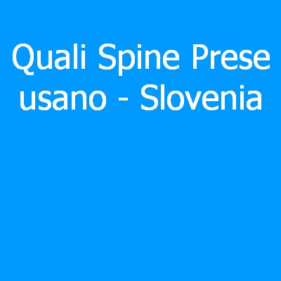 Slovenia – Quali spine (prese) eletriche si usano?