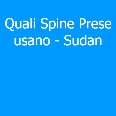Sud Africa – Quali spine (prese) eletriche si usano?
