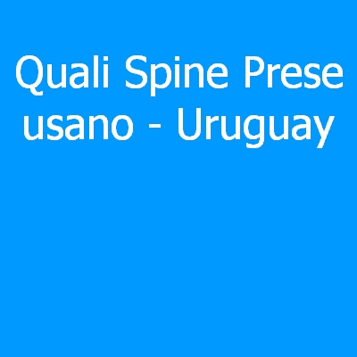 Uruguay – Quali spine (prese) eletriche si usano?